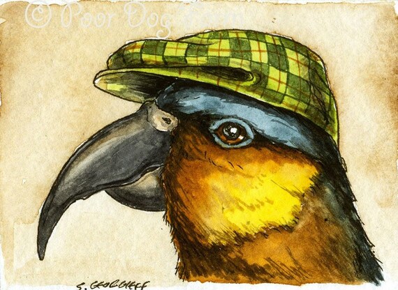 The Norfolk Kaka ~~ No 16  of 100 series- ~ signed watercolor print