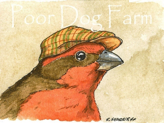 Little Finch with hat ~ watercolor print