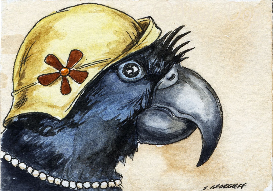 The Broad-billed Parrot~~ No 54 of 100 Series- ~ Signed Watercolor