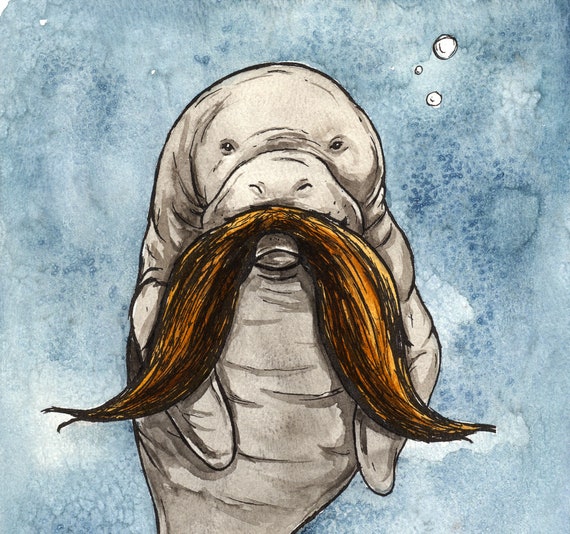 Mustache Manatee Sam