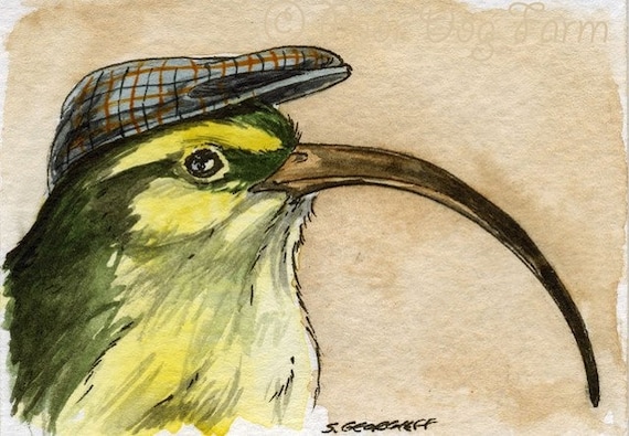 The Oahu Akialoa.~~ No 7 of 100 series- ~ signed watercolor print
