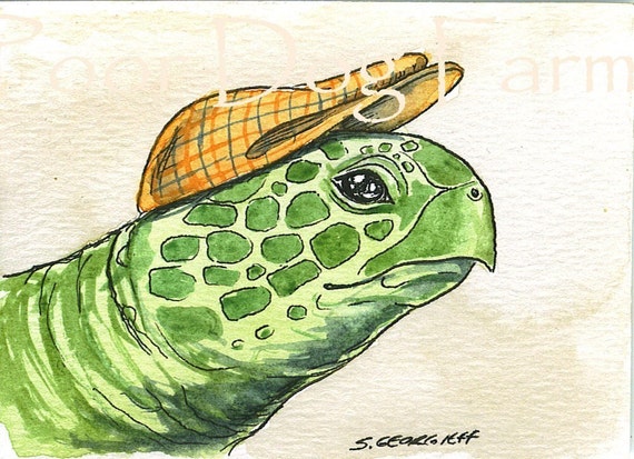 Sea Turtle with hat-