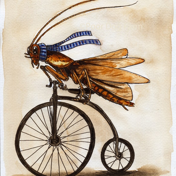 Cockroach - Etsy