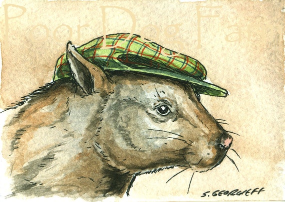 Wombat in a Hat