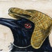 see more listings in the 100 Extinct Birds section