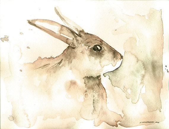 White Hare.. Study n0. 1 - Watercolor print