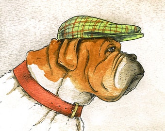 Bull Dog  in a Hat
