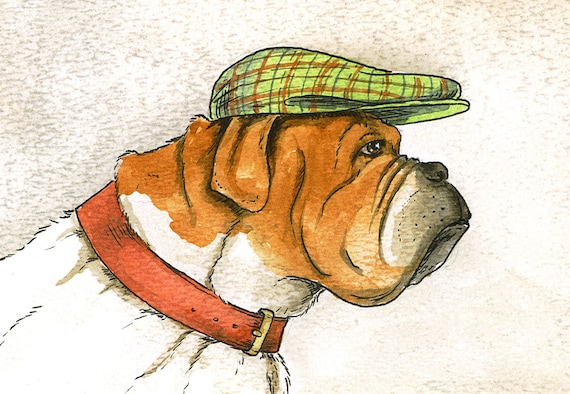 Bull Dog  in a Hat