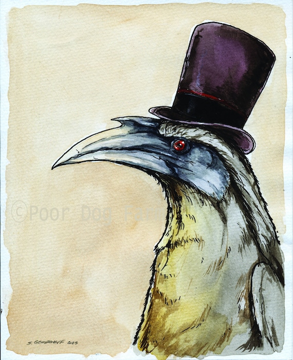 A dapper Indian Grey Hornbill (an original hand painted bird)