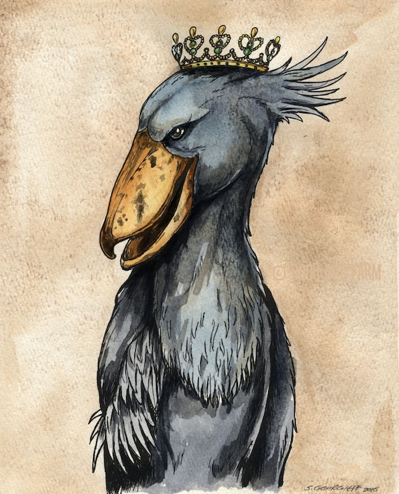A Royal Shoebill Queen (an original hand painted queen)