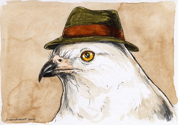 A Dapper Swallowtail Kite ~ signed watercolor print