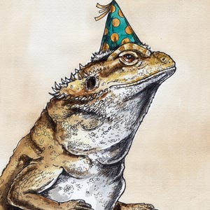May include: Watercolor illustration of a bearded dragon wearing a party hat. The lizard is tan and white with a detailed texture. The party hat is teal with orange polka dots and a gold ribbon. The artwork is signed.