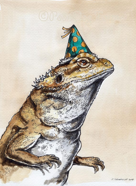 A Bearded Dragon in a Birthday Hat (an original hand painted refined one)