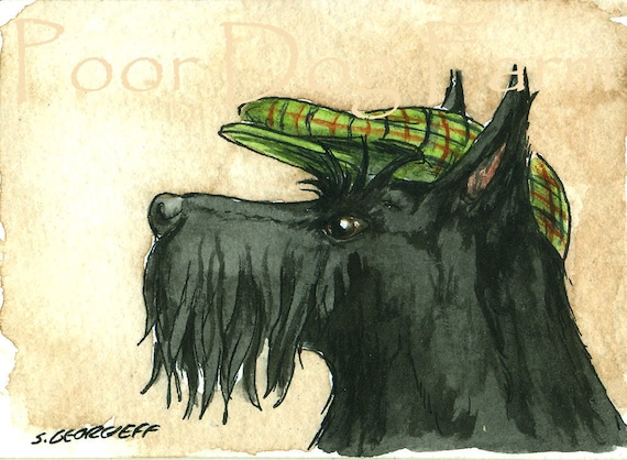 ACEO signed PRINT - Scottish Terrier with a hat