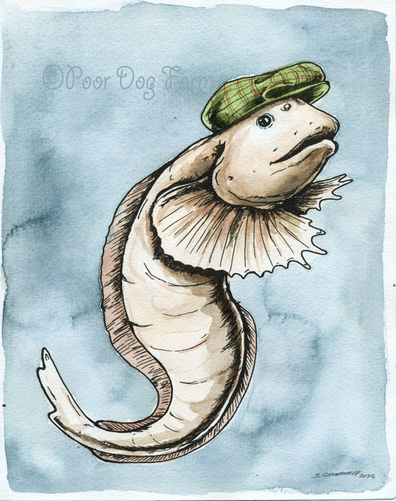 A dapper little Snailfish  (an original hand painted little one)
