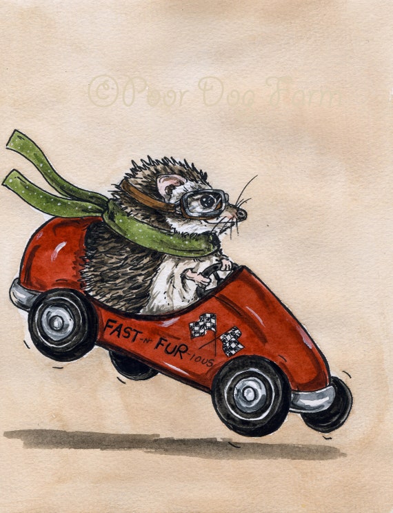 Fast and Fur-ious ~ Go Hedgehog Go ~ (Limited Edition # Painted Prints)