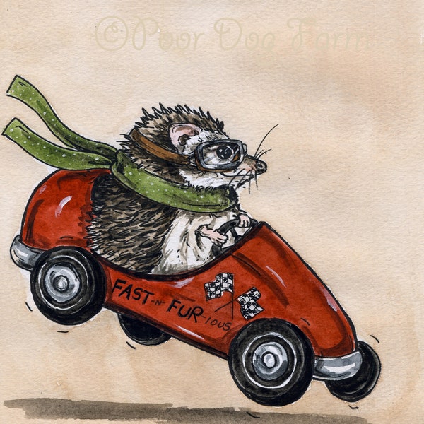 Fast and Fur-ious ~ Go Hedgehog Go ~ (Limited Edition # Painted Prints)