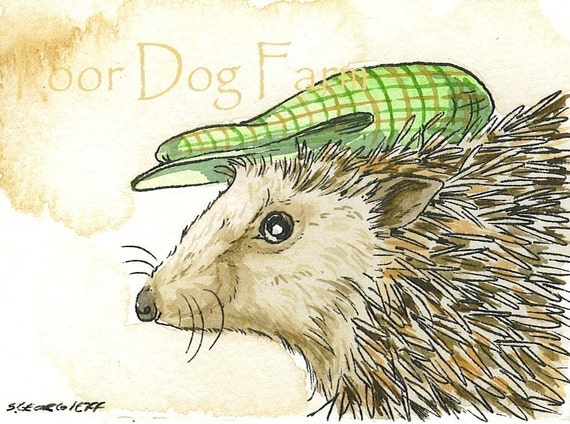 Hedgehog with Hat