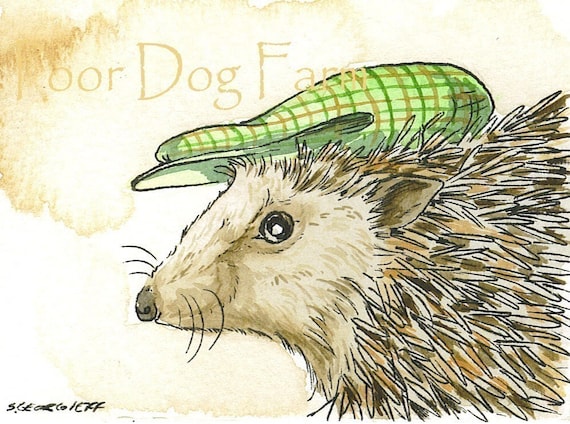 Hedgehog with Hat