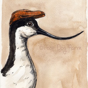 A dapper Eurasian Avocet (an original hand painted little one)