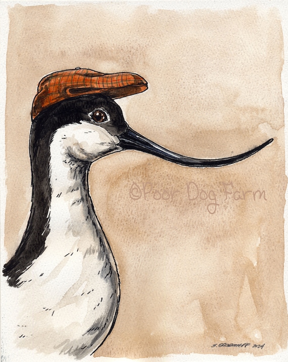 A dapper Eurasian Avocet (an original hand painted little one)