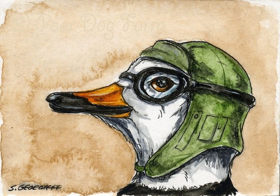 The Labrador Duck~~ No 10 of 100 series- ~ signed watercolor print