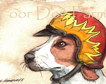 A Hound in a Helmet- print 8x10