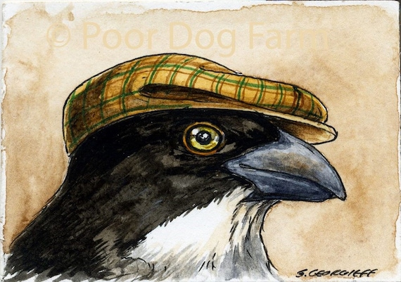 The North Island Piopio~~ No 2 of 100 series- ~ signed watercolor print