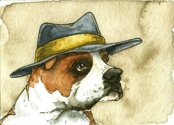 Boxer in a Hat