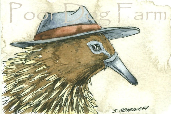 Echinda with a hat