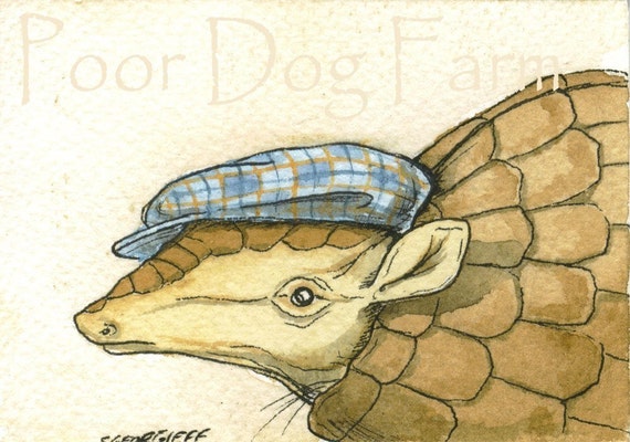 A Keene Armadillo in a Hat