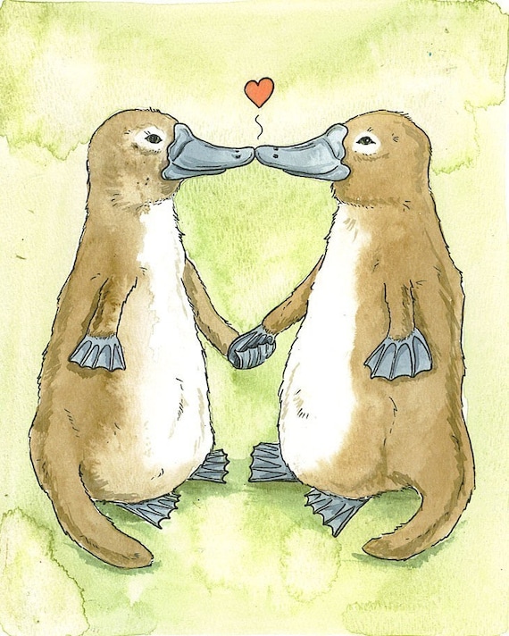 Platypus Lovers