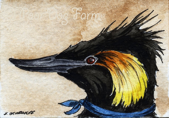 The Colombian Grebe~~ No 66 of 100 series- ~ signed watercolor print