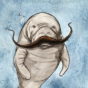 Manatee with a Fancy Mustache
