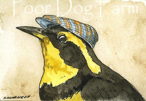 Oriole with hat-