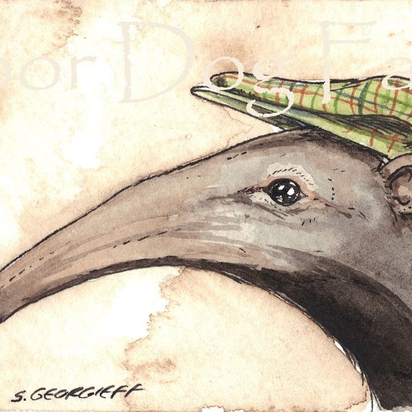 Anteater in a hat