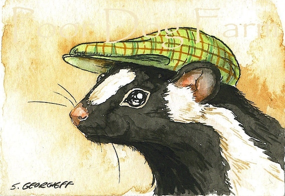 A Handsome Skunk in a Hat