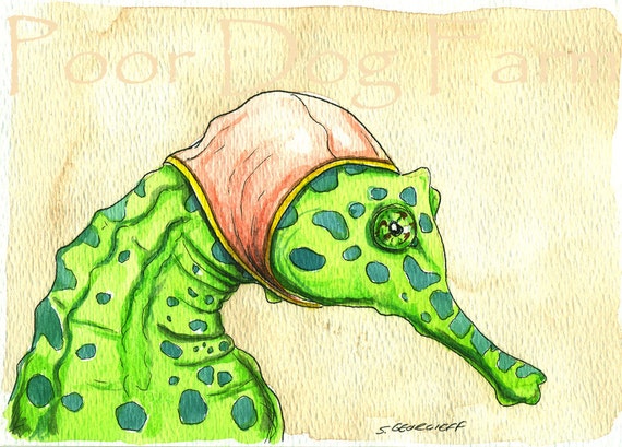 A Stunning Seahorse in a Swim cap - 5x7 print