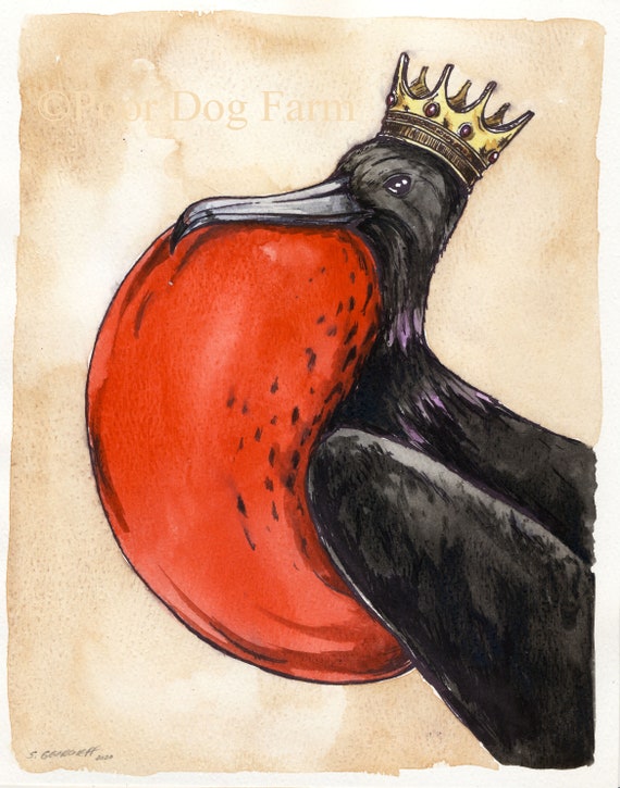 Frigatebird  King  (an original hand painted king)