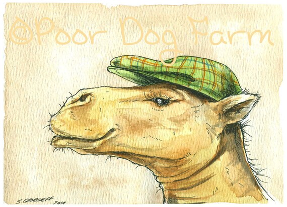 Imprudent Camel in a Hat - Print