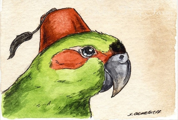 The Black-Fronted Parakeet~~ No 37  of 100 series- ~ signed watercolor print