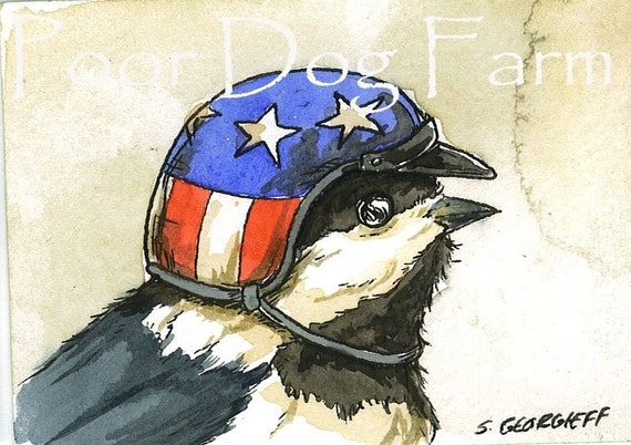 Chickadee in biker helmet