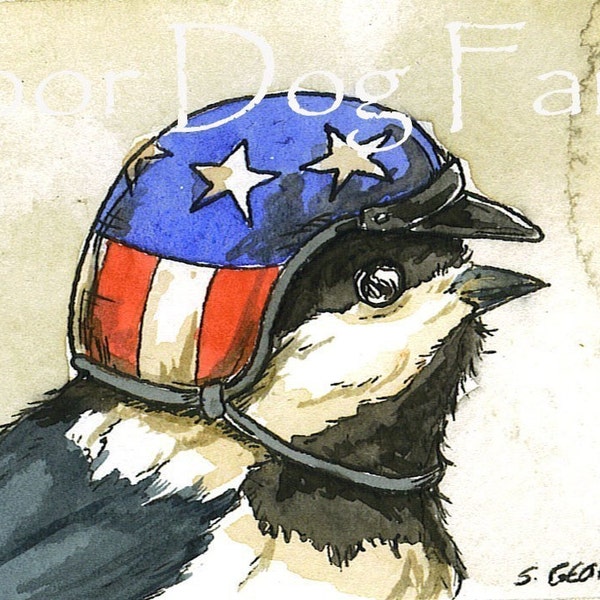 Chickadee in biker helmet