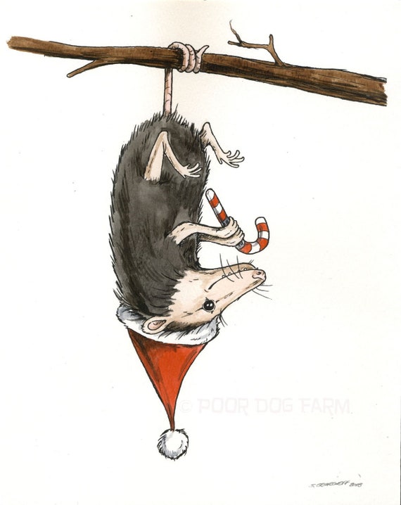A Festive Fellow..  The Holiday Possum  8 x 10