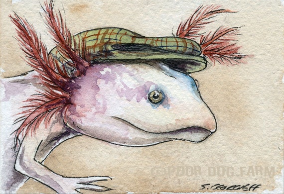 An Axoloti in a Hat - watercolor print