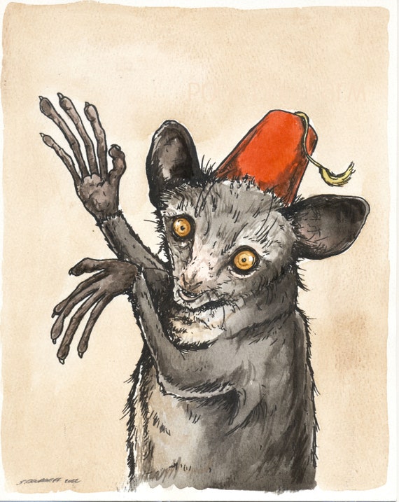 A handsome little Aye-Aye   (an original hand painted one)