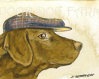 Chocolate Lab in a hat