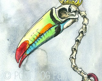 Toucan Skull  King