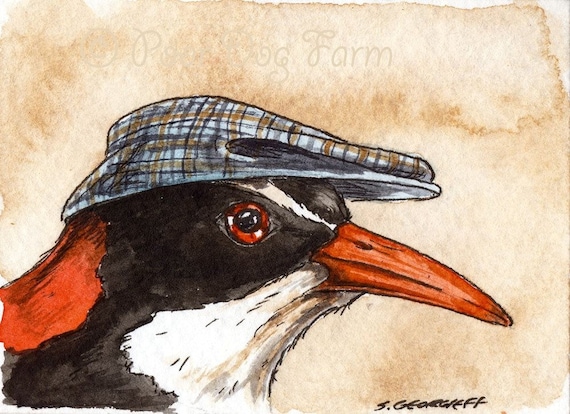The Tahiti Red-Billed Rail~~ No 11 of 100 series- ~ signed watercolor print