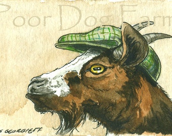 A Nobby Goat in a Hat